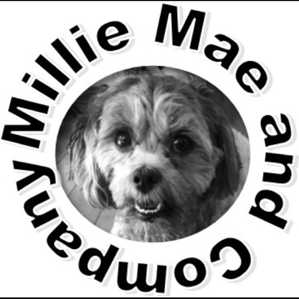 Meet your Posher, Millie Mae & Company!